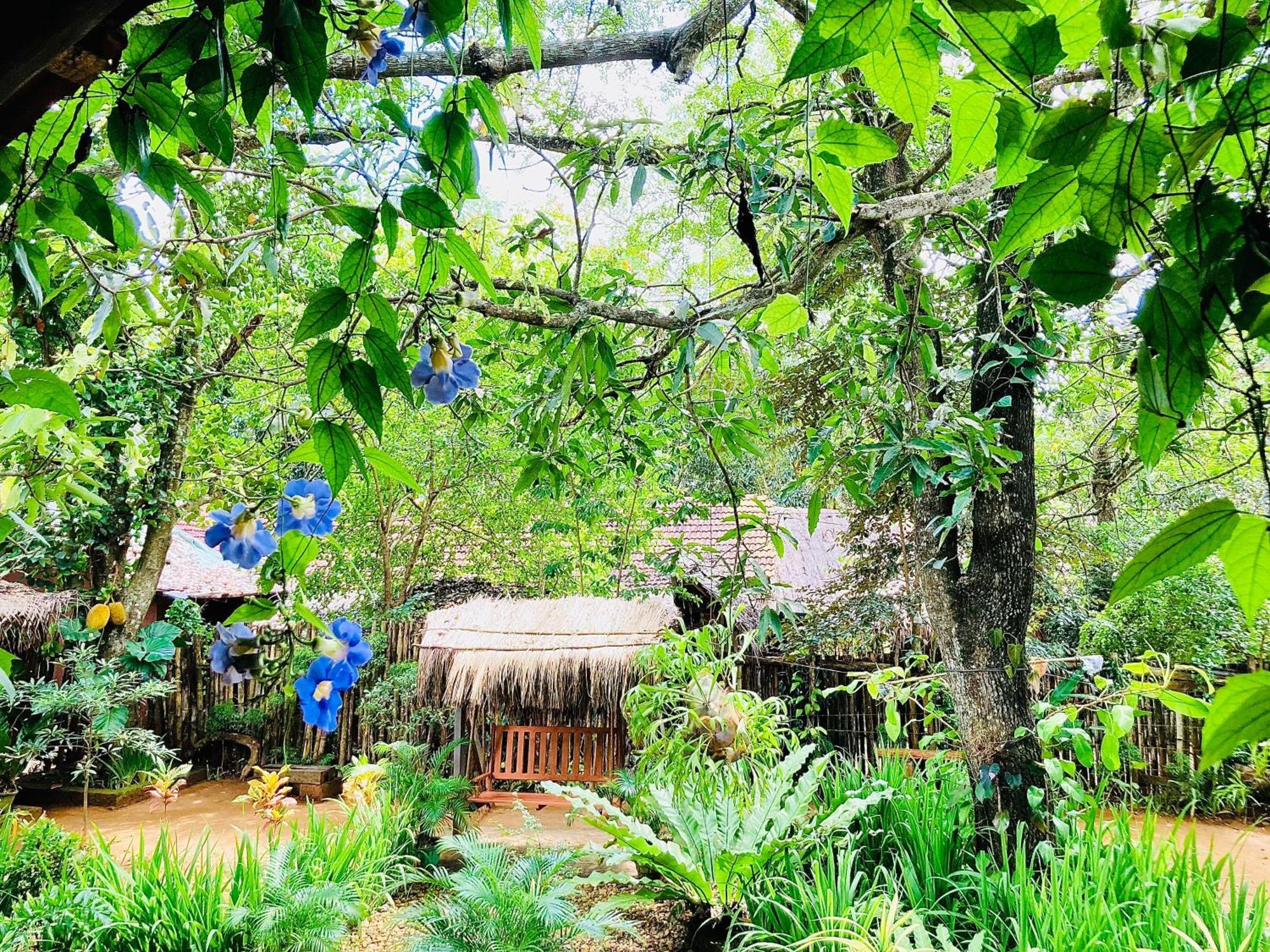Green Paradise Cottage Udawalawa Udawalawe Exterior photo